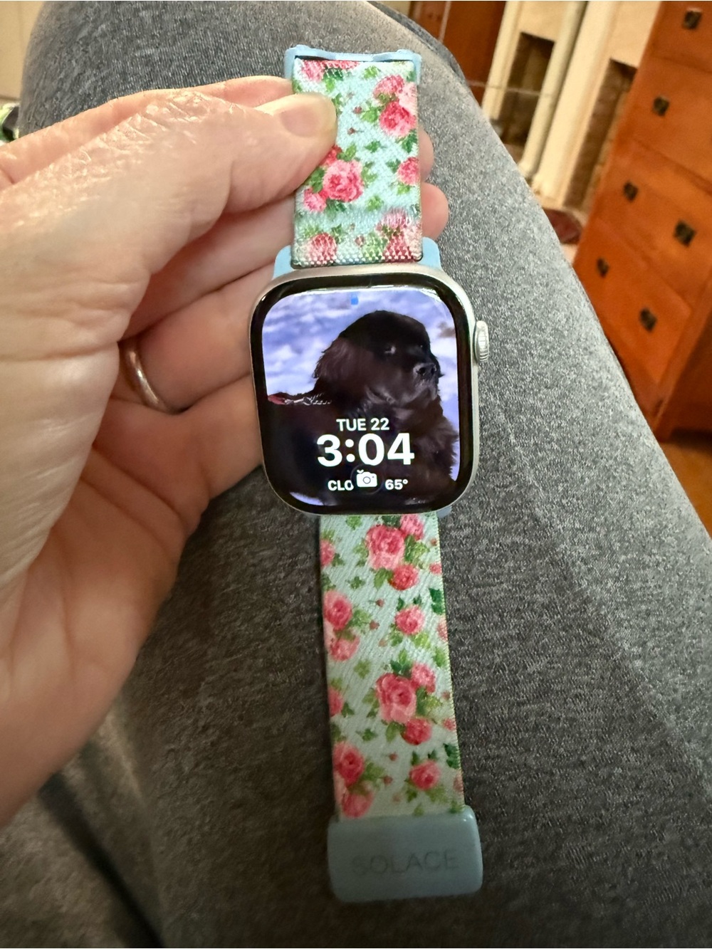 Solace Apple Watch band